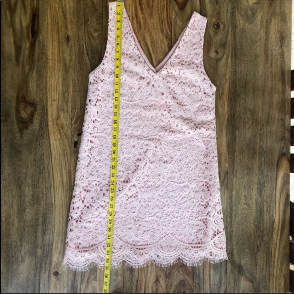 NWT BB Dakota Dress